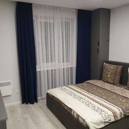 Silver Star Apartment Uzhhorod Bagian luar foto