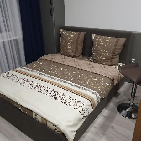 Silver Star Apartment Uzhhorod Bagian luar foto