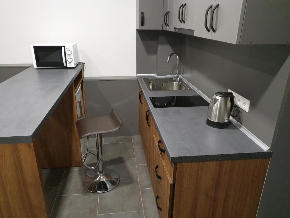 Silver Star Apartment Uzhhorod Bagian luar foto