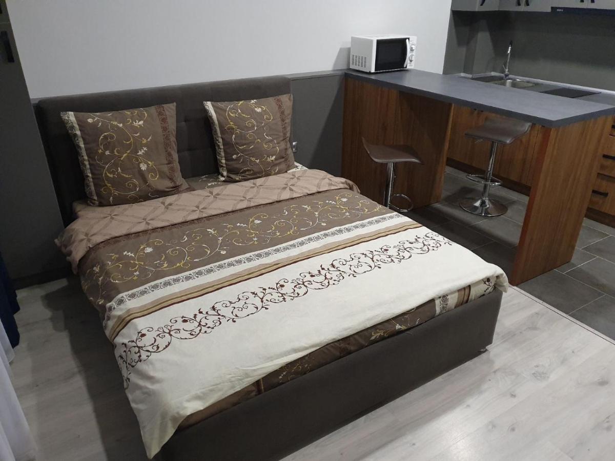 Silver Star Apartment Uzhhorod Bagian luar foto