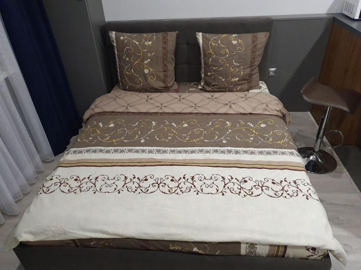 Silver Star Apartment Uzhhorod Bagian luar foto